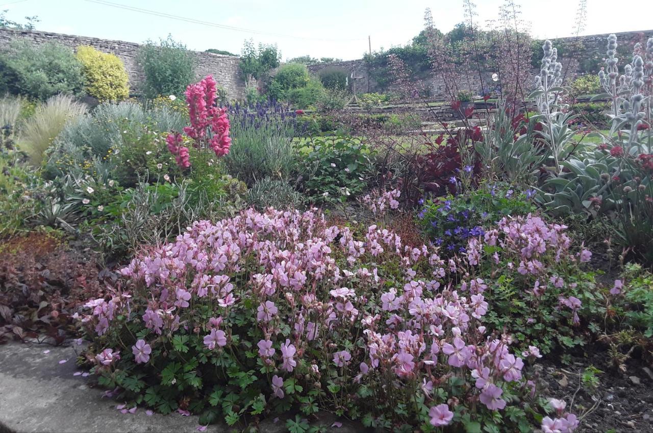 Ellerton Lodge Bed And Breakfast Swaledale Richmond  Exteriör bild
