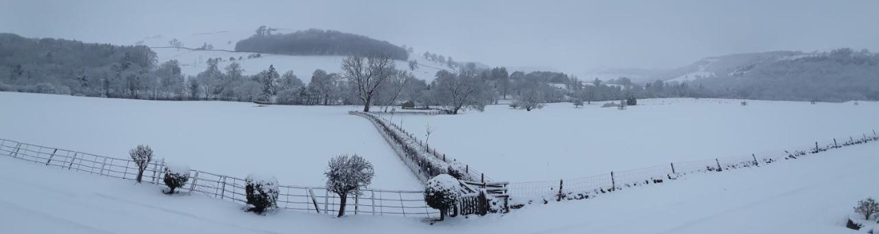 Ellerton Lodge Bed And Breakfast Swaledale Richmond  Exteriör bild