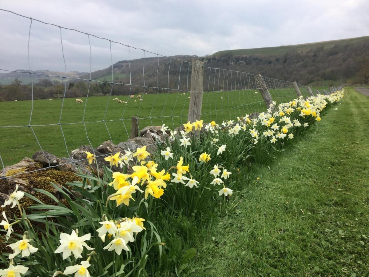 Ellerton Lodge Bed And Breakfast Swaledale Richmond  Exteriör bild