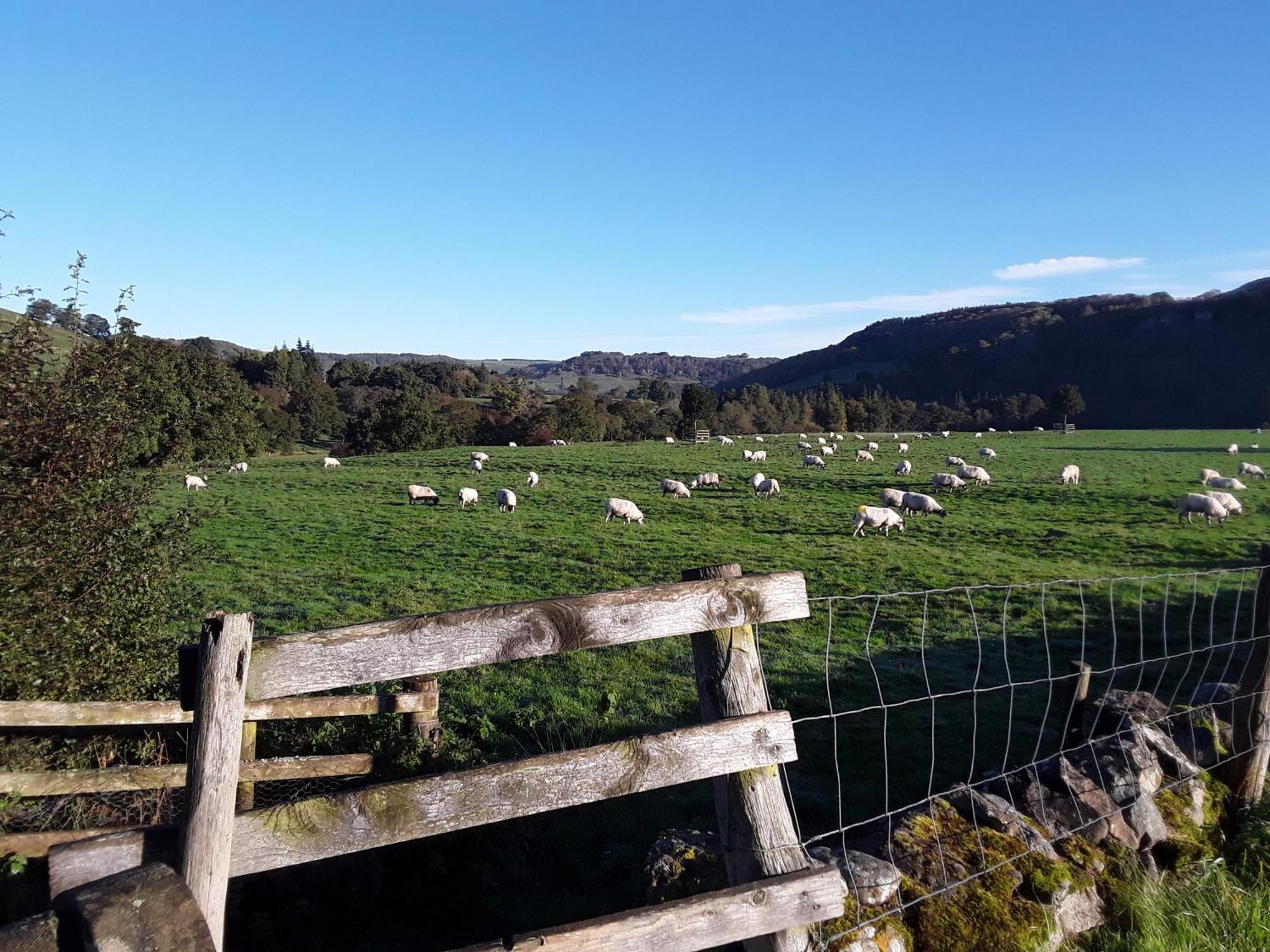 Ellerton Lodge Bed And Breakfast Swaledale Richmond  Exteriör bild