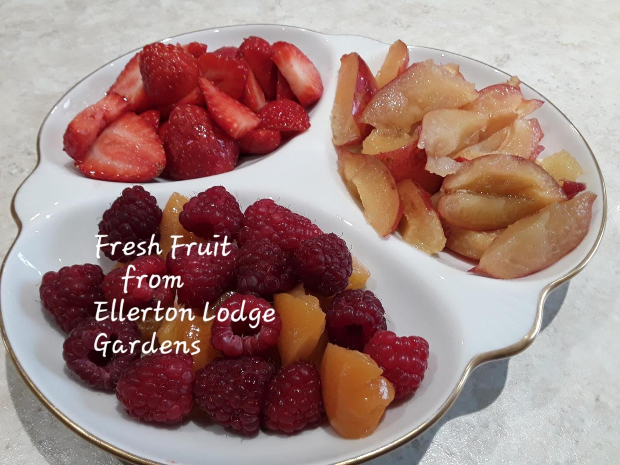 Ellerton Lodge Bed And Breakfast Swaledale Richmond  Exteriör bild