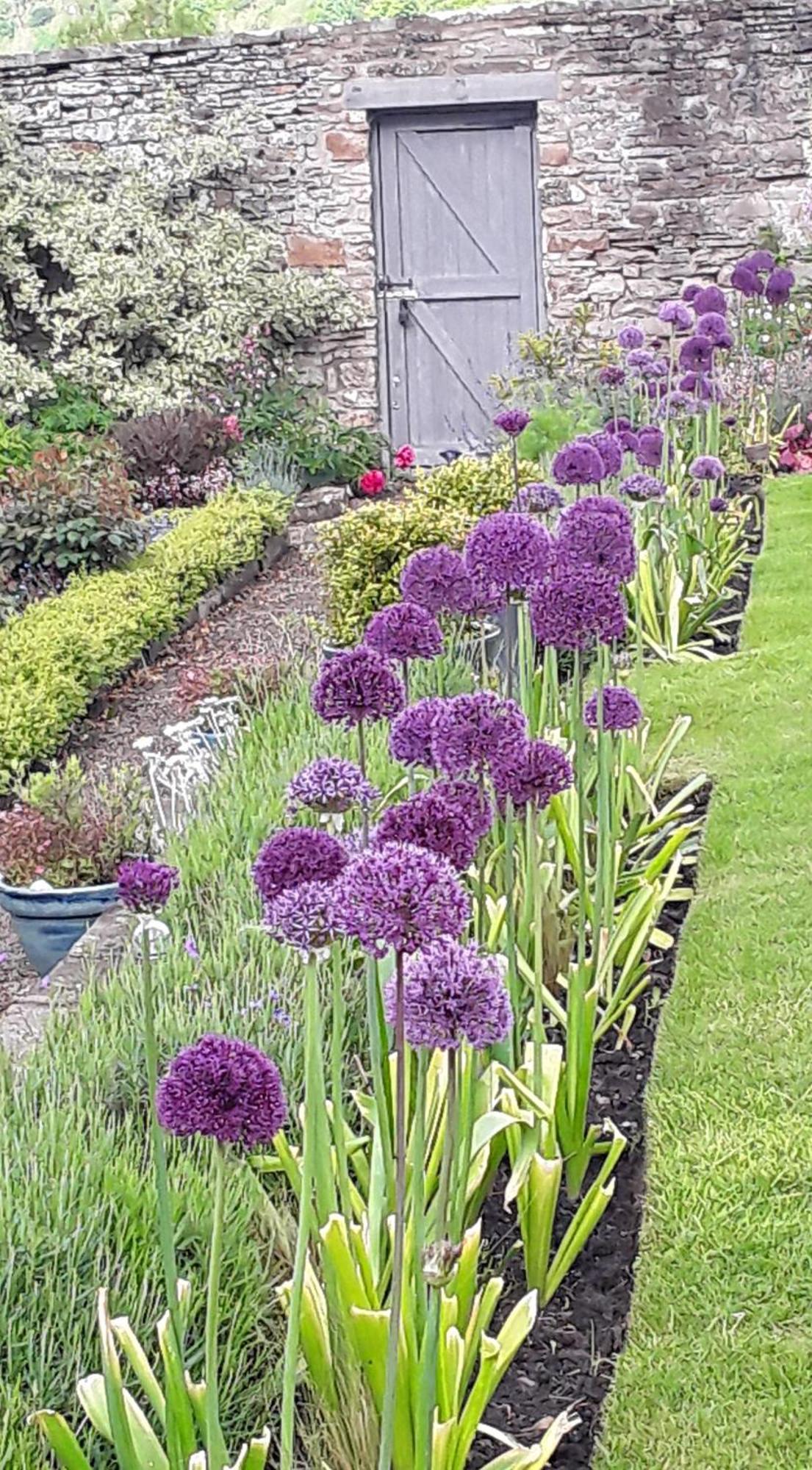 Ellerton Lodge Bed And Breakfast Swaledale Richmond  Exteriör bild