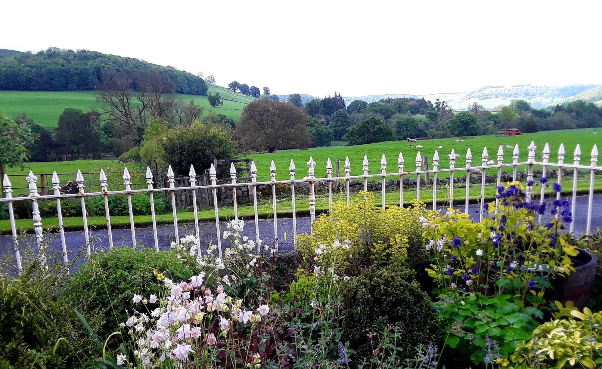 Ellerton Lodge Bed And Breakfast Swaledale Richmond  Exteriör bild